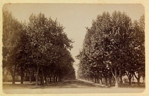 Die Stadt Marseille und ihre Umgebung um 1885-1890: der Prado, Privatsammlung