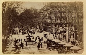 Die Stadt Marseille und ihre Umgebung um 1885-1890: Der Blumenweg, Cours Saint Louis. Private Sammlung von Anonymous Anonymous