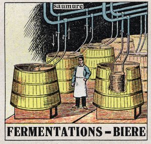 Die Kälteindustrie: Malzfermentationen zur Bierherstellung. Anonyme Illustration von 1925. Private Sammlung. von Anonymous Anonymous
