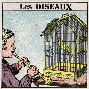 Die Wirkung der Musik: Der Klang einer Flöte lässt einen Vogel in einem Käfig singen. Anonyme Illustration von 1925. Private Sammlung. von Anonymous Anonymous