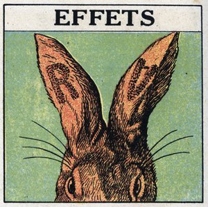 Ultraviolette Strahlen: Effekte. Wir bedecken die Ohren eines Kaninchens mit schwarzem Karton oder schneiden die Buchstaben R und V aus, dann setzen wir das Tier den ultravioletten Strahlen einer Quecksilberlampe aus: die Ohren zeigen Verbrennungsspuren, d von Anonymous Anonymous