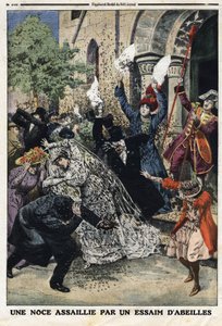 Hochzeit wurde von einem Bienenschwarm angegriffen. Gravur in „Le Petit Journal“, am 28.07.1912. Private Sammlung.