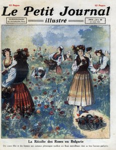 Junge Frauen in traditioneller bulgarischer Tracht pflücken Rosen zur Herstellung von Rosenwasser. Illustration aus „Le petit journal illustrious“ vom 12.06.1921. Private Sammlung von Anonymous Anonymous