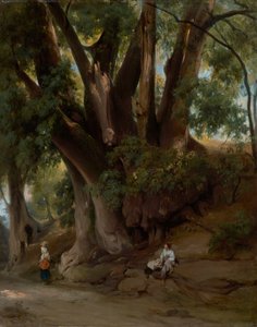 Italienische Baumlandschaft (Straße bei Albano)