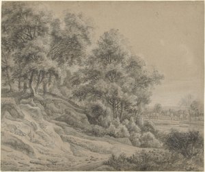 Bäume in einer hügeligen Landschaft