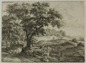 Der Waldrand