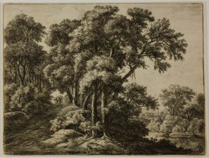 Der bewaldete Pfad von Anthonie Waterloo