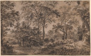 Waldlandschaft