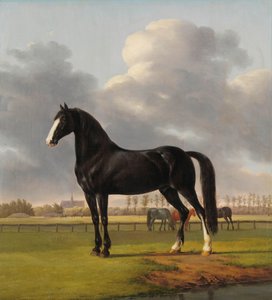 Adriaan van der Hoops Traber 