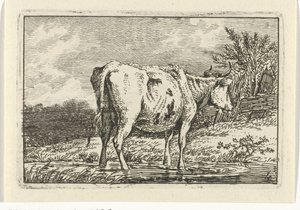Kuh stehend in einer Pfütze von Anthony Oberman