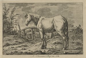 Stehendes Pferd von Anthony Oberman