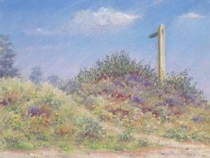 Öffentlicher Fußweg von Anthony Rule