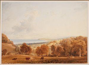 Fernsicht auf Dunster, Somerset