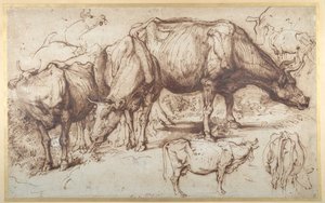 Vieh auf der Weide, ca. 1618-20 von Anthony van Dyck