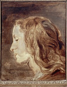 Kopfstudie, erste Hälfte des 17. Jahrhunderts von Anthony van Dyck