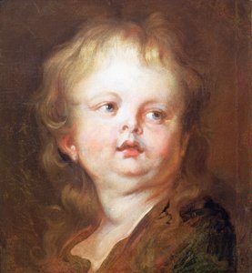 Kopf eines Jungen von Anthony van Dyck