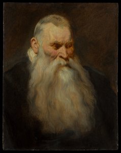 Kopfstudie eines alten Mannes mit weißem Bart von Anthony van Dyck