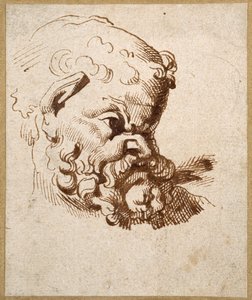 Studie eines antiken Kopfes von Silenus von Anthony van Dyck
