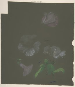 Floral Design