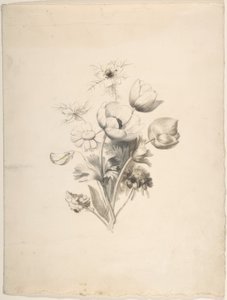 Floral Design