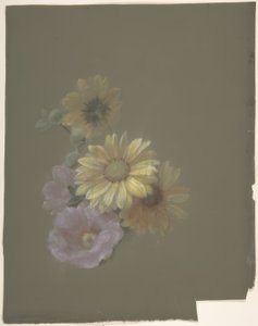 Gelbe Gänseblümchen und Rosa Wildrose von Antoine Berjon