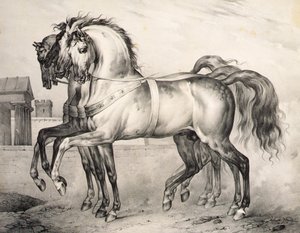 Die Pferde, die Louis Philippe, dem Herzog von Orleans, in der Schlacht von Valmy ritten, gestochen von Victor Adam, ca. 1834-38 von Antoine Charles Horace Vernet