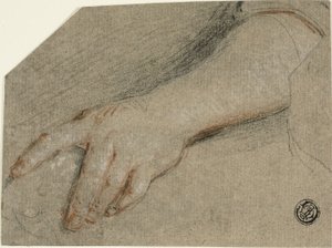 Zeigende Hand und Unterarm