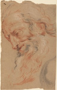 Kopf eines alten Mannes von Antoine Coypel