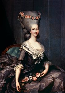 Marie-Therese von Savoyen-Carignan, Prinzessin von Lamballe