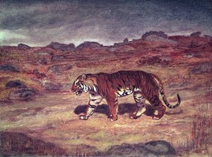 Ein Tiger jagt seine Beute