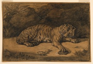 Ein Tiger und eine Schildkröte von Antoine Louis Barye