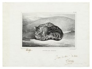 Studie von Katzen von Antoine Louis Barye
