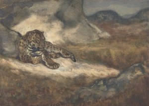 Leopard liegt, 1810-75 von Antoine Louis Barye