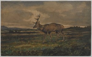 Hirsch gehend von Antoine Louis Barye