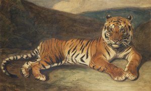 Tiger liegend