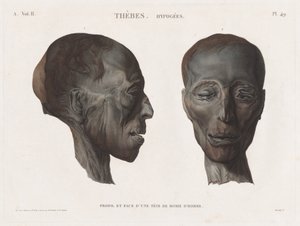 Beschreibung von Ägypten: Theben. Hypogäen Bd. II, Pl. 49 von Antoine Maxime Monsaldy