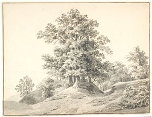 Landschaft mit großen Bäumen an der Elbe. Buxtehude von Anton Carl Dusch