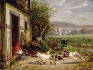 Hühner, Enten und ein Pfau an einem Kanal von Anton Hoffmann