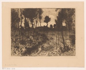 Waldweg am Abend