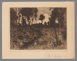 Waldweg am Abend