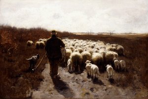 Rückkehr der Herde