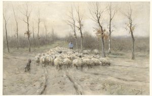 Schafherde auf der Heide bei Laren