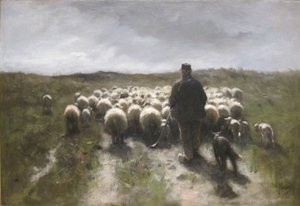 Schäfer und Schafe