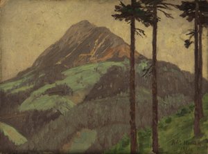 Rettenstein pri Filzmoosu von Anton Nowak