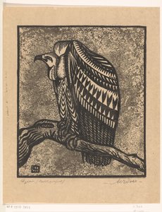 Geier von Anton Vincent Emanuel Pohl (signed by artist)