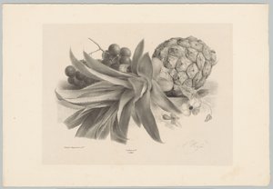 Ananas und Trauben