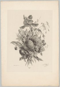 Nelken und Lilien von Anton Weiss