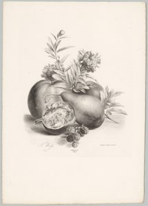 Blumen, Äpfel, Birne, Granatapfel und Brombeeren von Anton Weiss