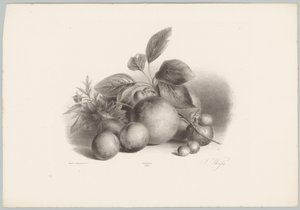 Blumen, Nektarinen und Haselnüsse von Anton Weiss