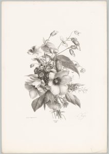Diverse Blumen von Anton Weiss